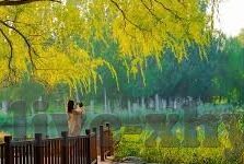 婷婷精品国产av麻豆不片-婷婷精品与国产AV，一个深入了解的视角